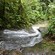 A mountain stream winding through lush jungle in Colo-i-Suva Forest Park